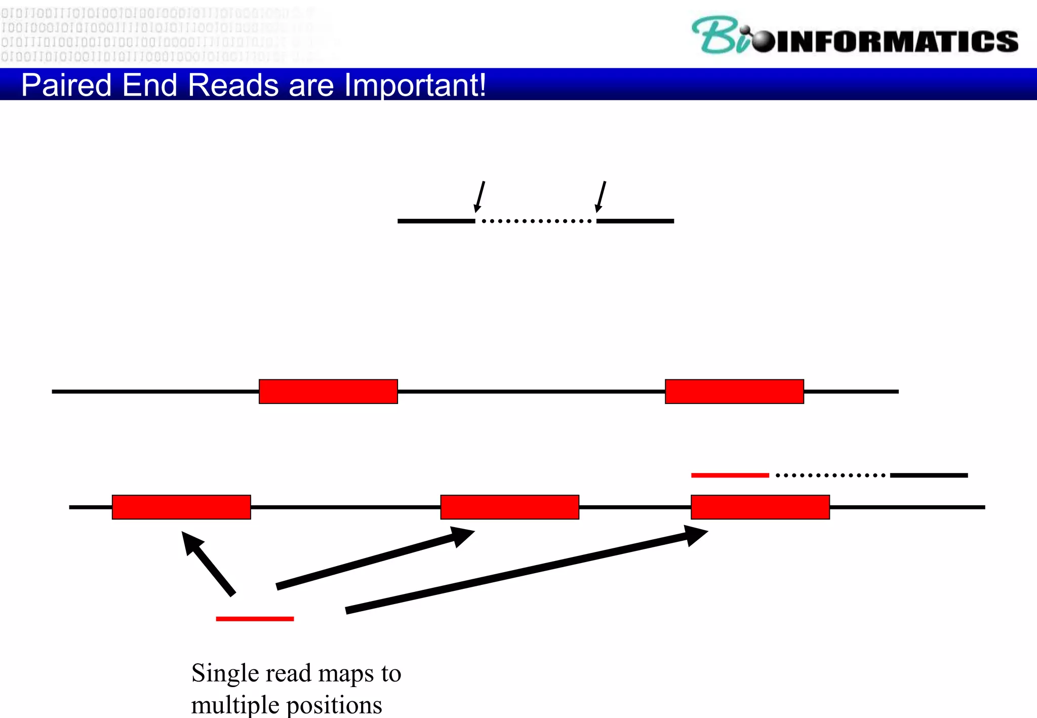 Paired End Reads are Important! 
Read 1 Read 2 
Repetitive DNA 
Unique DNA 
Single read maps to 
multiple positions 
Paired read maps uniquely 
Known Distance 
 