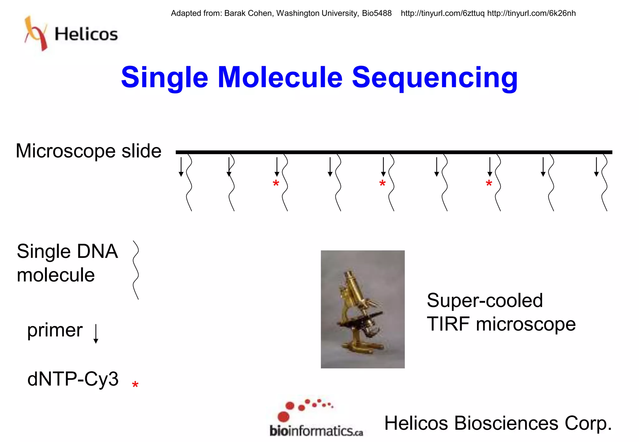Adapted from: Barak Cohen, Washington University, Bio5488 http://tinyurl.com/6zttuq http://tinyurl.com/6k26nh 
Single Molecule Sequencing 
Helicos Biosciences Corp. 
Microscope slide 
Single DNA 
molecule 
dNTP-Cy3 
* * * 
* 
primer 
Super-cooled 
TIRF microscope 
 