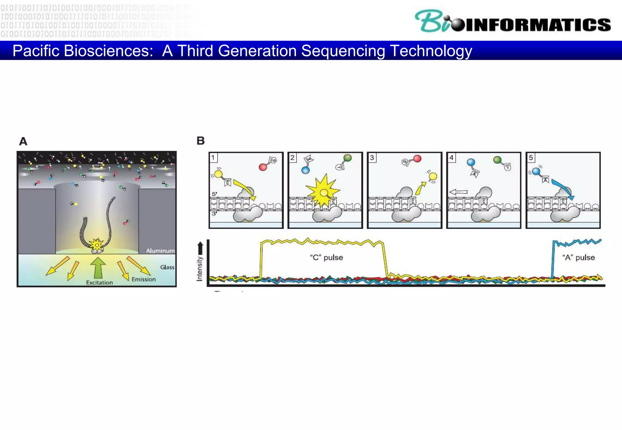 Pacific Biosciences: A Third Generation Sequencing Technology 
Eid et al 2008 
 