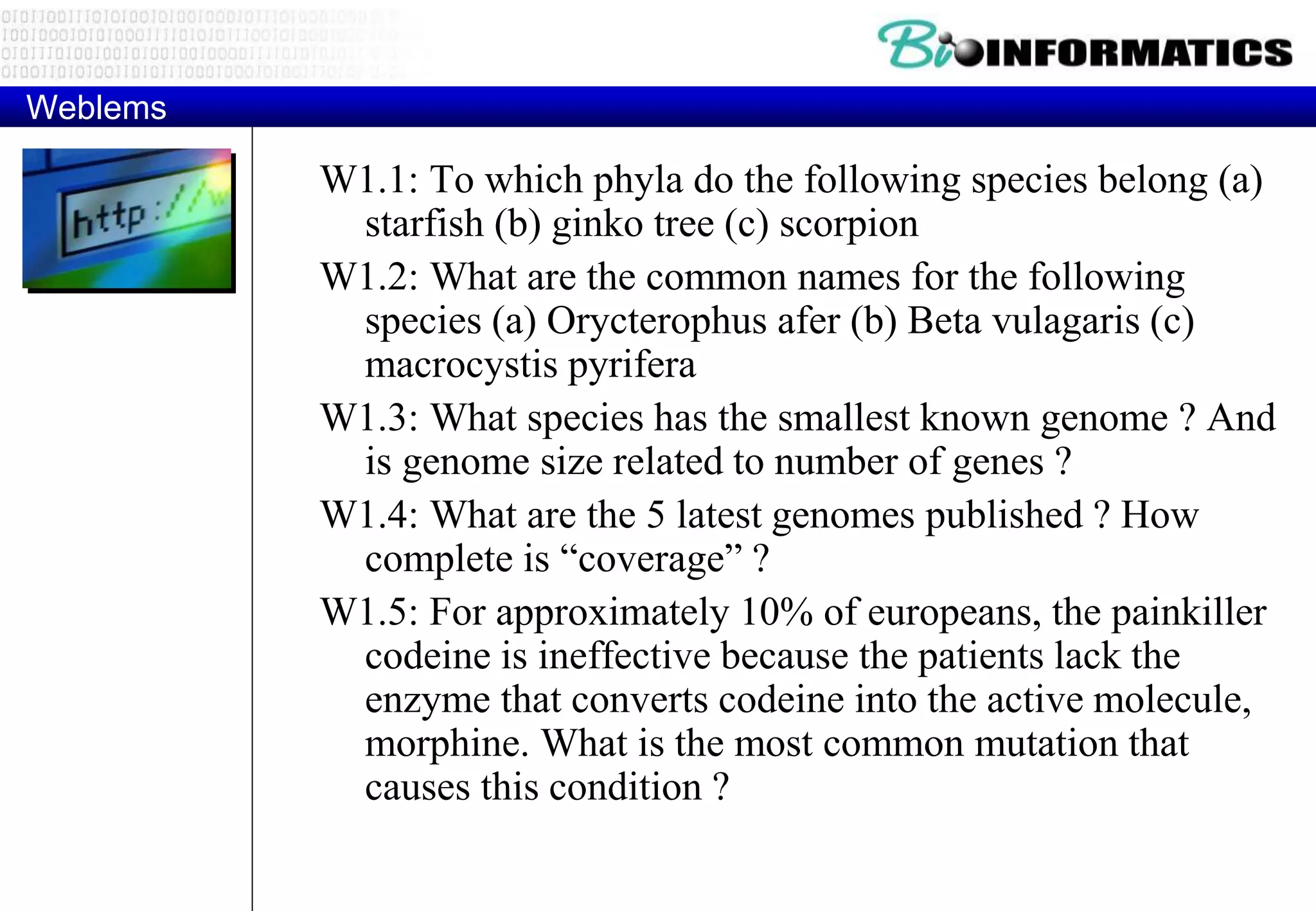 Weblems 
W1.1: To which phyla do the following species belong (a) 
starfish (b) ginko tree (c) scorpion 
W1.2: What are the common names for the following 
species (a) Orycterophus afer (b) Beta vulagaris (c) 
macrocystis pyrifera 
W1.3: What species has the smallest known genome ? And 
is genome size related to number of genes ? 
W1.4: What are the 5 latest genomes published ? How 
complete is “coverage” ? 
W1.5: For approximately 10% of europeans, the painkiller 
codeine is ineffective because the patients lack the 
enzyme that converts codeine into the active molecule, 
morphine. What is the most common mutation that 
causes this condition ? 
