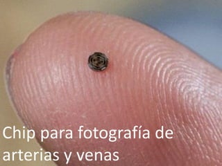 Chip para fotografía de arterias y venas  