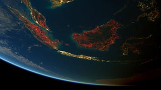 Art, Science et Anthropocène par Félix Pharand-Deschênes