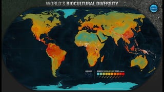 Art, Science et Anthropocène par Félix Pharand-Deschênes