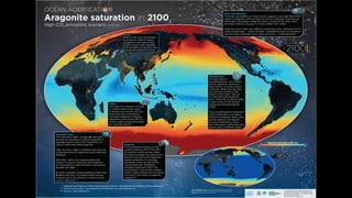 Art, Science et Anthropocène par Félix Pharand-Deschênes
