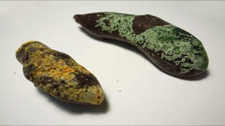 Cygnes noirs et agents provocateurs: l'entreprise créative comme fin et comme moyen par Olivier Thomas