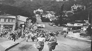 Cygnes noirs et agents provocateurs: l'entreprise créative comme fin et comme moyen par Olivier Thomas