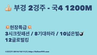 ! 부경 2경주 - 국4 1200M 
!현장특급! 
3시크릿패션 / 8기대하라 / 10넓은벌! 
12글로벌킹 
©춘풍경마 2014/10/11(토) http://follow999.com 
 