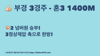 ! 부경 3경주 - 혼3 1400M 
!2 넘버원 승부! 
3정상제압 축으로 한방! 
©춘풍경마 2014/10/11(토) http://follow999.com 
 