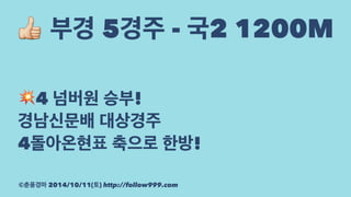 ! 부경 5경주 - 국2 1200M 
!4 넘버원 승부! 
경남신문배 대상경주 
4돌아온현표 축으로 한방! 
©춘풍경마 2014/10/11(토) http://follow999.com 
 