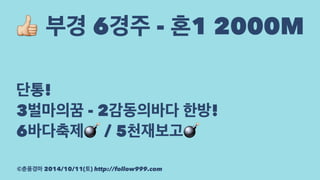 ! 부경 6경주 - 혼1 2000M 
단통! 
3벌마의꿈 - 2감동의바다 한방! 
6바다축제! / 5천재보고! 
©춘풍경마 2014/10/11(토) http://follow999.com 
 