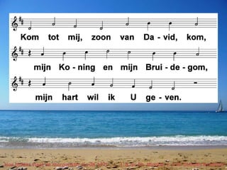 Hoe helder staat de morgenster (LvdK 157) t. & m. Ph. Nicolai; v. J.W. Schulte Nordholt 
 