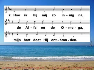 Hoe helder staat de morgenster (LvdK 157) t. & m. Ph. Nicolai; v. J.W. Schulte Nordholt 
 