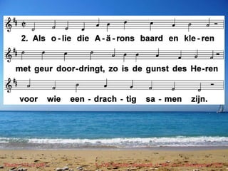 Psalm 133 (LvdK) t. J.W. Schulte Nordholt, J. Wit; m. L. Bourgeois 1551 
 