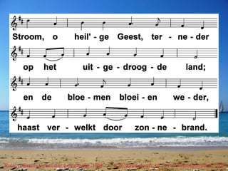 Ruis, o Godsstroom der genade (EL 150) t. W. Mühlpforth; m. J.A. Freylinghausen 1704 
 