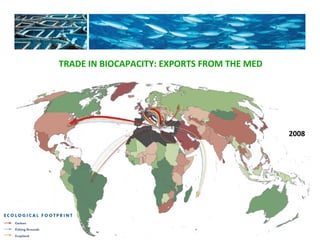 2008 
TRADE IN BIOCAPACITY: EXPORTS FROM THE MED 
 