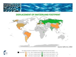 DISPLACEMENT OF SWITZERLAND FOOTPRINT 
Source: Galli et al., 2014 
 