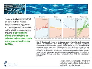 Source: Tittensor et al. (2014) A mid-term 
analysis of progress toward international 
biodiversity targets. Science 
• A new study indicates that 
on current trajectories, 
despite accelerating policy 
and management responses 
to the biodiversity crisis, the 
impacts of government 
efforts are unlikely to be 
reflected in improved trends 
in the state of biodiversity 
by 2020. 
 