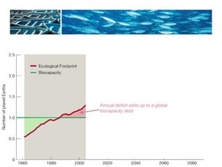 Annual deficit adds up to a global 
biocapacity debt 
 