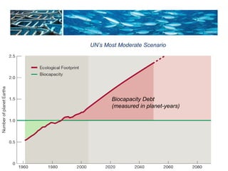 UN’s Most Moderate Scenario 
Biocapacity Debt 
(measured in planet-years) 
 