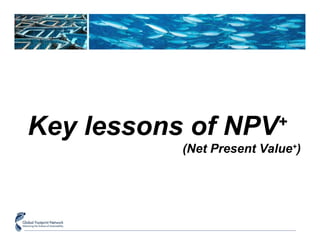 Key lessons of NPV+ 
(Net Present Value+) 
 