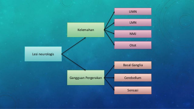 Mengenal Lokasi Gangguan Neurologis