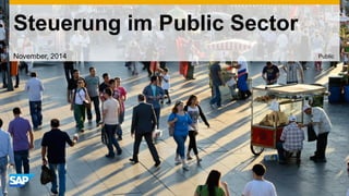 Steuerung im Public Sector 
November, 2014 
Public  
