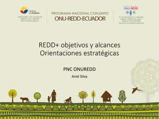 REDD+ objetivos y alcances 
Orientaciones estratégicas 
PNC ONUREDD 
Ariel Silva  
