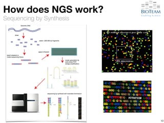 How does NGS work? 
Sequencing by Synthesis 
13 
 