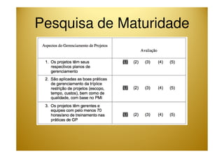 Pesquisa de Maturidade 
 