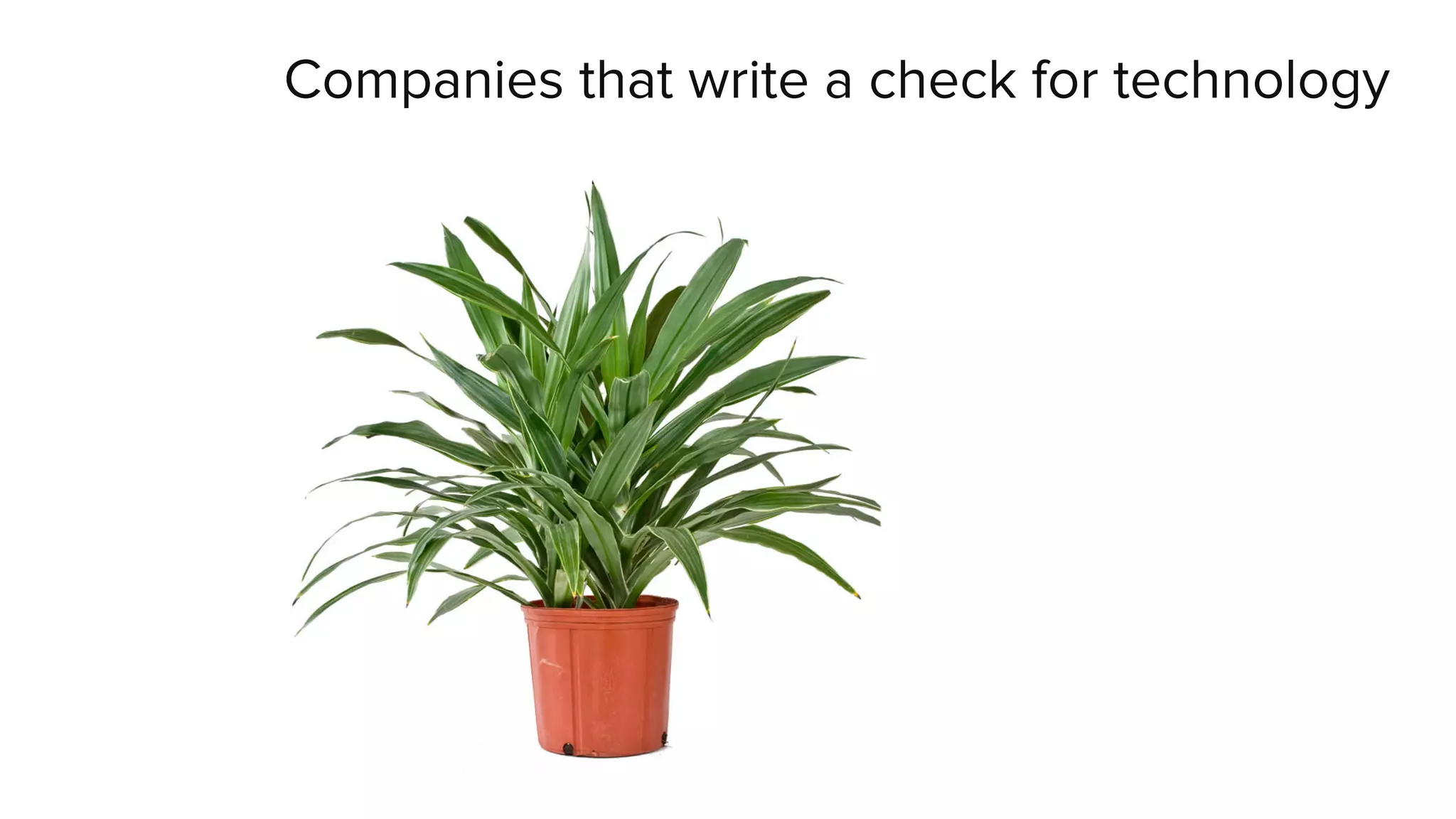 Companies that write a check for technology 
 