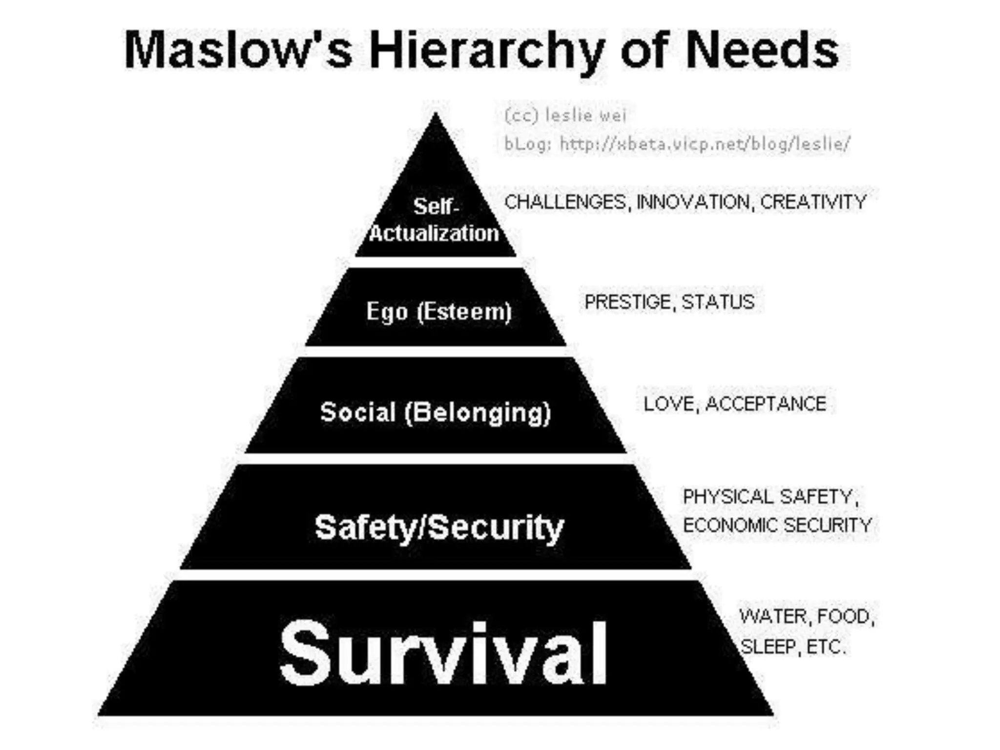語言 
有什麼 
用途? 
 