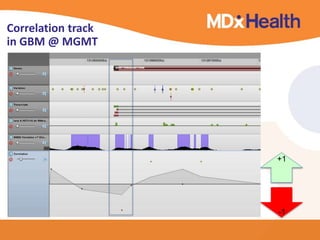 Correlation track 
in GBM @ MGMT 
+1 
-1 
 