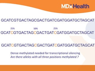 GCATCGTGACTAGCGACTGATCGATGGATGCTAGCAT 
25% 50% 25% 
GCATCGTGACTAGCGACTGATCGATGGATGCTAGCAT 
GCATCGTGACTAGCGACTGATCGATGGATGCTAGCAT 
Dense methylated needed for transcriptional silencing 
Are there alleles with all three positions methylated ? 
 