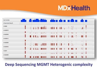 Deep Sequencing MGMT Heterogenic complexity 
 