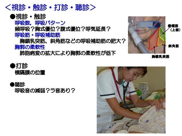 14 11 09 Insight 14 11 09 Insight