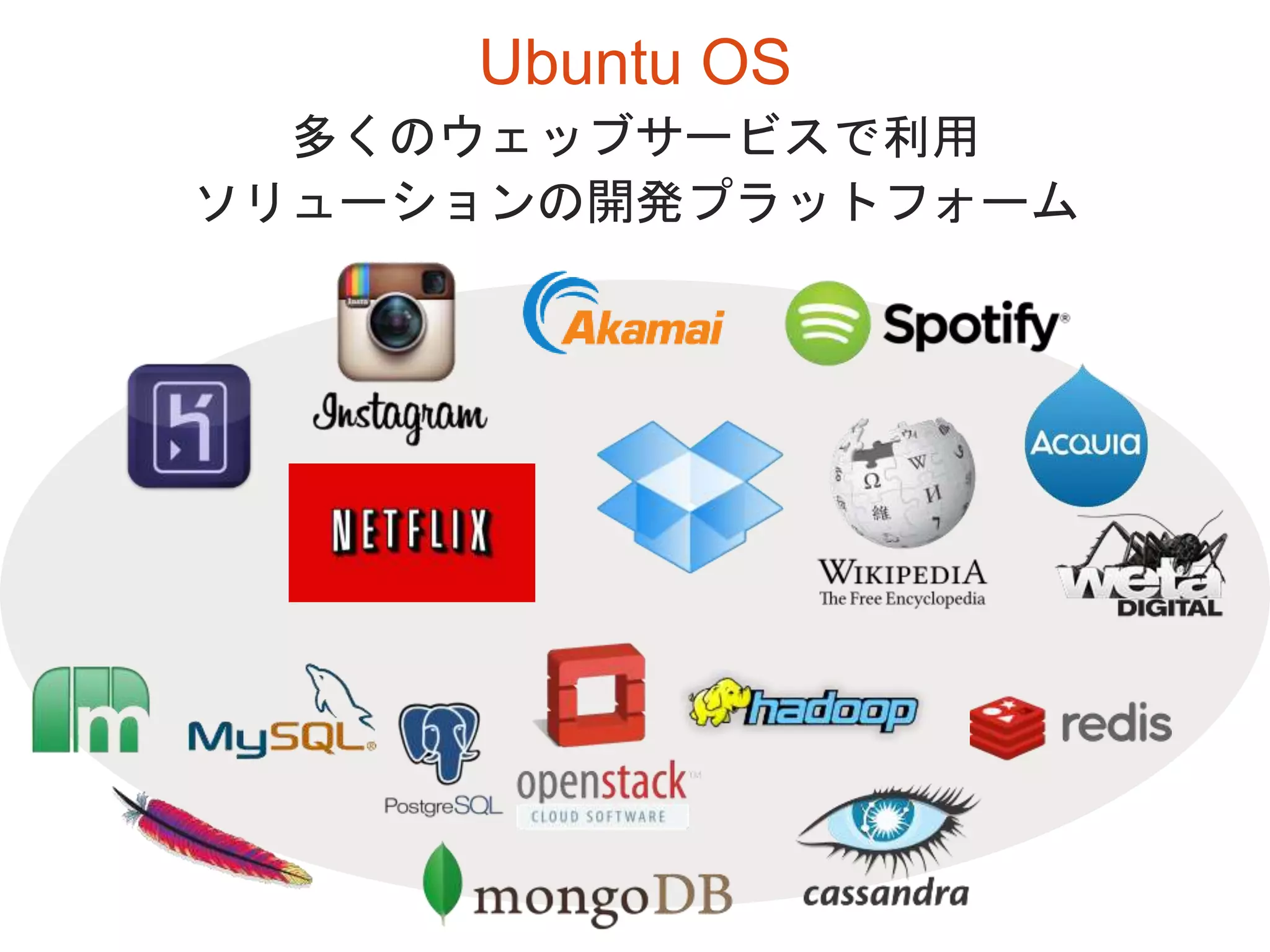 Ubuntu OS
多くのウェッブサービスで利用
ソリューションの開発プラットフォーム
 