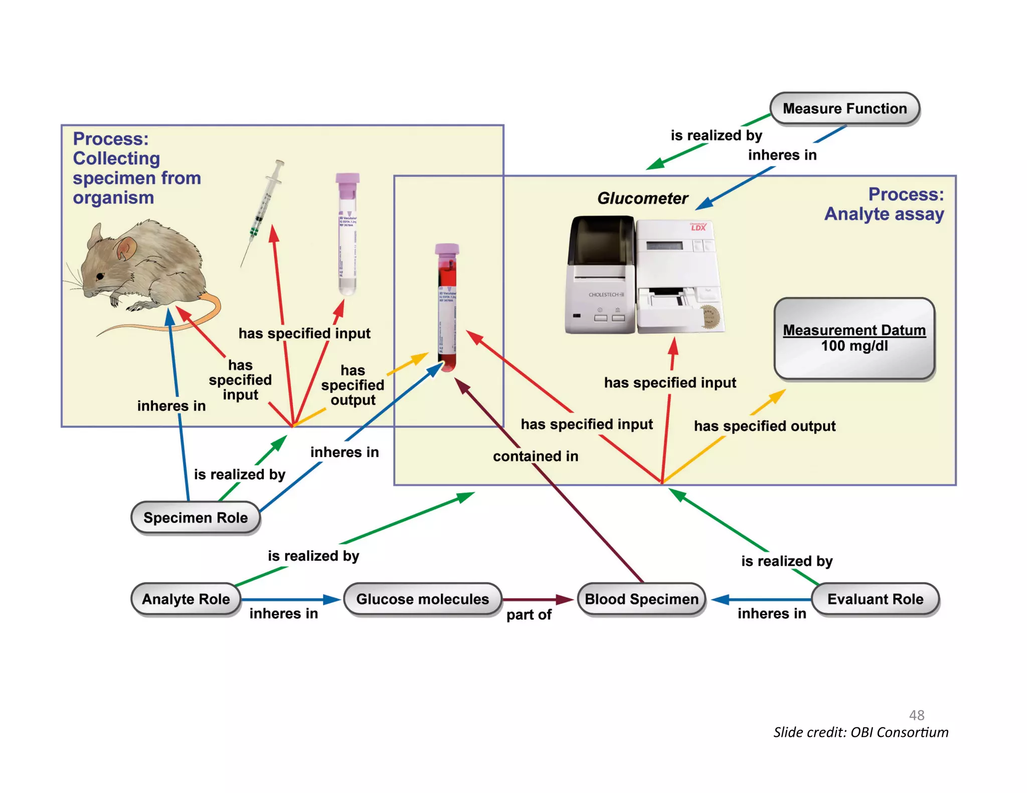 48 
Slide 
credit: 
OBI 
Consor)um 
 