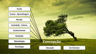 Ser Humano 
Mundo 
Sociedade -Cultura 
Conhecimento 
Educação 
Escola 
Ensino -Aprendizagem 
Metodologia 
Tecnologia 
Avaliação 
Concepção  