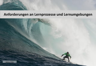 3 
Anforderungen an Lernprozesse und Lernumgebungen 
Nathan Gibbs  