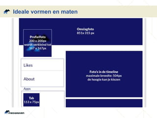 Ideale vormen en maten 
 