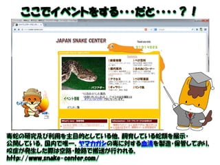 ここでイベントをする・・・だと・・・・？！ 
毒蛇の研究及び利用を主目的としている他、飼育している蛇類を展示・ 
公開している。国内で唯一、ヤマカガシの毒に対する血清を製造・保管しており、 咬症が発生した際は空路・陸路で搬送が行われる。 
http://www.snake-center.com/  