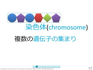 17 
染色体(chromosome) 
複数の遺伝子の集まり  