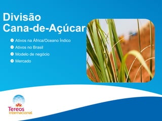 Divisão Cana-de-Açúcar 
Ativos na África/Oceano Índico 
Ativos no Brasil 
Modelo de negócio 
Mercado  