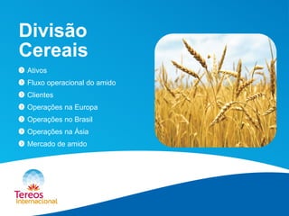 Divisão Cereais 
Ativos 
Fluxo operacional do amido 
Clientes 
Operações na Europa 
Operações no Brasil 
Operações na Ásia 
Mercado de amido  