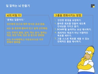 일 잘하는 뇌 만들기 4
그룹을 변화시키는 방법
1. 안전한 환경을 보장하기.
2. 올바른 회로를 만들어 내도록
인내심을 가지고 돕기.
3. SCARF를 높여주는 보상 제시하기.
4. 회피적인 목표가 아닌 지향적인
목표를 세우기.
5. 그들 스스로 목표를 세울 수 있는
전체적인 틀을 제시하기.
뇌의 비밀 13
‘문제는 집중이다.’
성인에게 당근과 채찍 방식은 효과 없음.
뇌는 늘 혼돈에 휩싸여 있고 쉽게 산만해짐.
뇌는 주변의 불빛, 날씨, 먹는 음식, 말하는
대상, 앉은 자세, 입은 옷 등으로 변화함.
뇌는 무사태평하고 자유로우므로 자꾸
변해야 행복함.
 