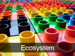 Ecosystem 
 