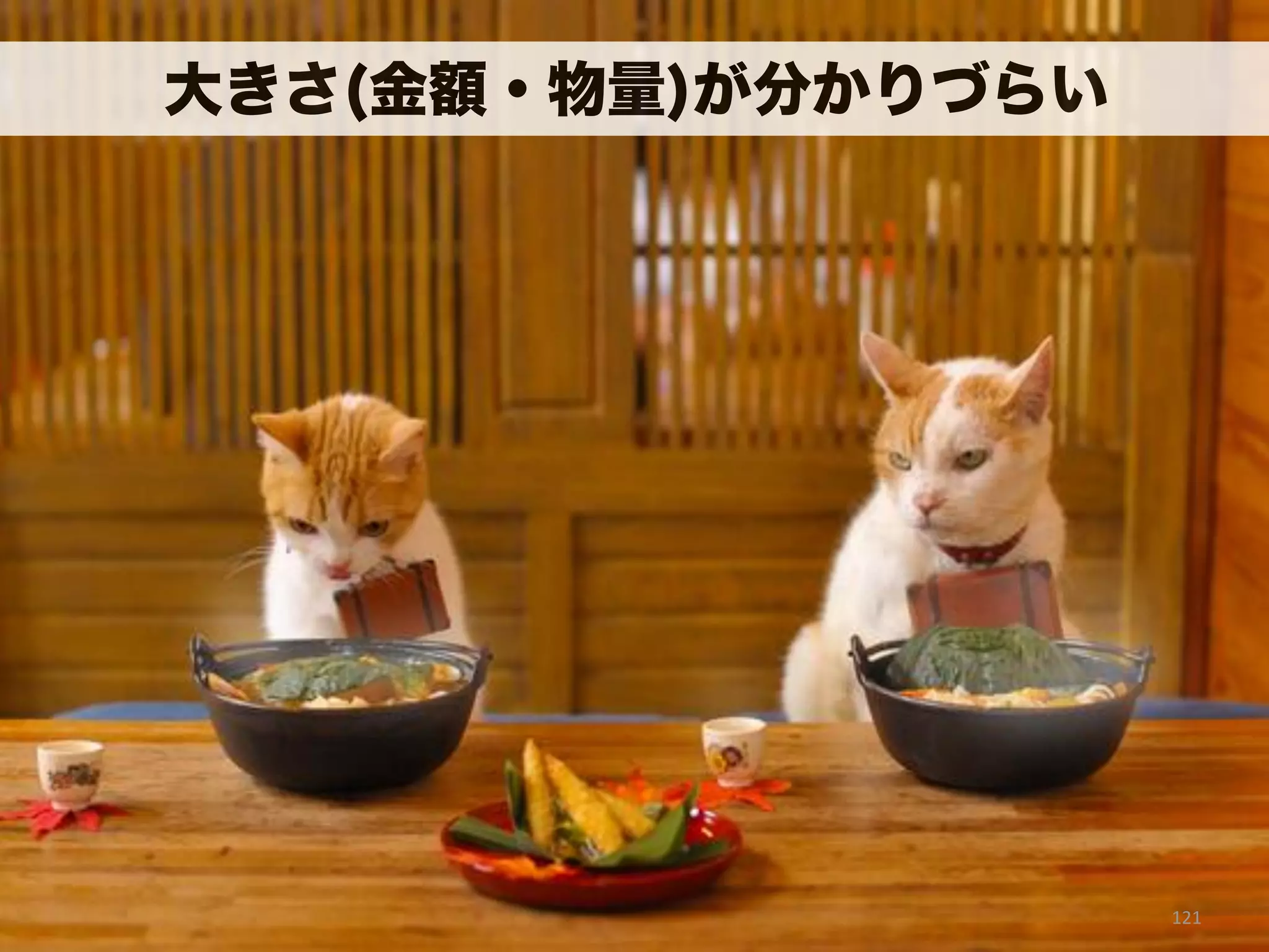 エクスペリエンスビジョン 
キャンバス 
 