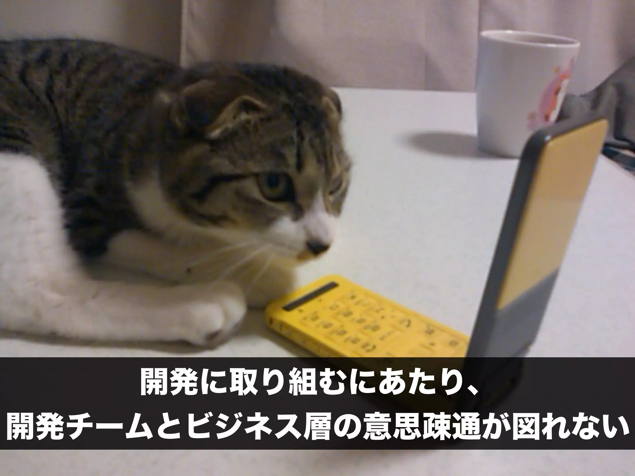 hp://officeny.aj1.jp/ 
IT技術者 
 