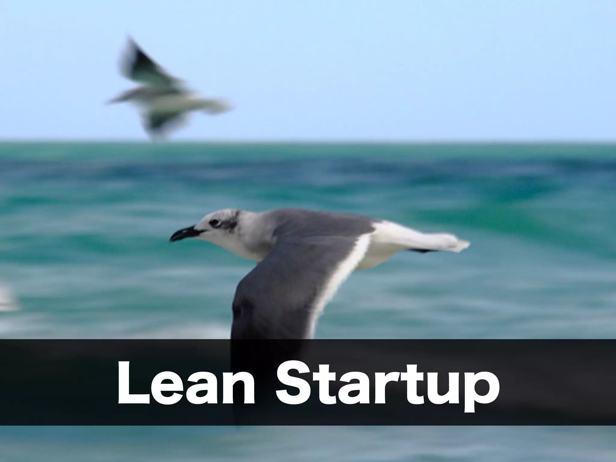 Lean Startup 
 
