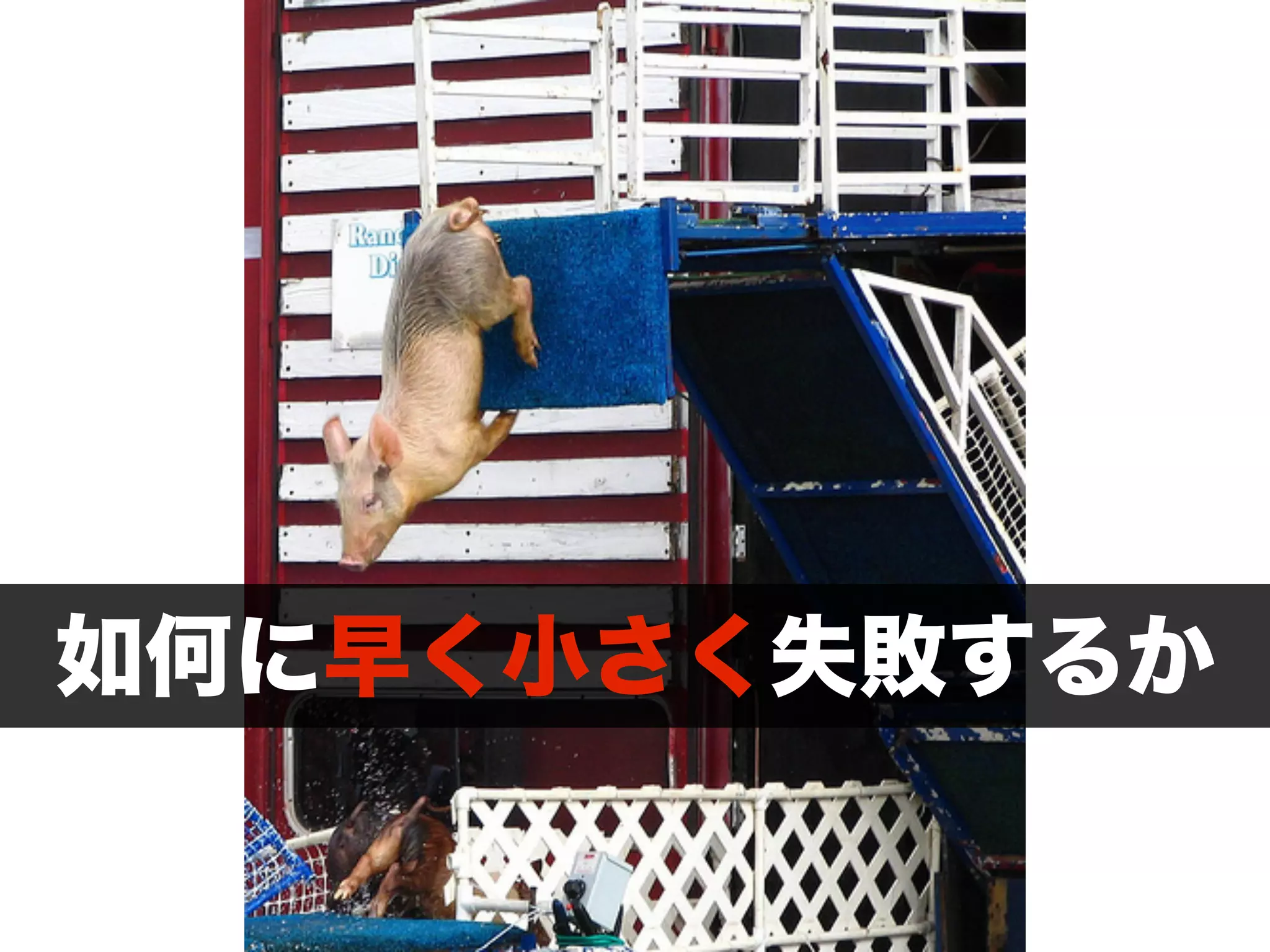 如何に早く小さく失敗するか 
 